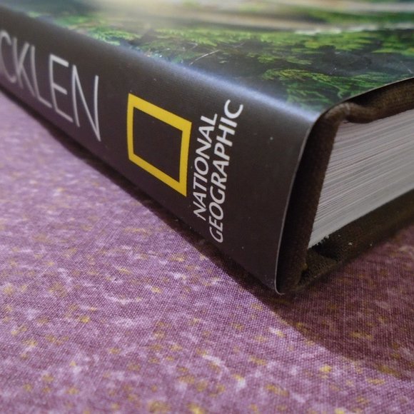 NATIONAL GEOGRAPHIC, BEAR: SPIRIT OF THE WILD. SPIRIT BEARS, GRIZZLIES, POLAR... - Picture 4 of 14